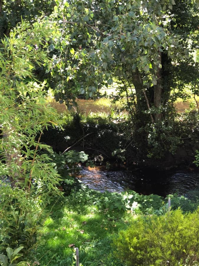 Appartement 2 Pieces Vue Sur La Riviere De L'Aven Et Le Bois D Amour Pont-Aven Zewnętrze zdjęcie