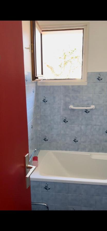 Appartement 2 Pieces Vue Sur La Riviere De L'Aven Et Le Bois D Amour Pont-Aven Zewnętrze zdjęcie